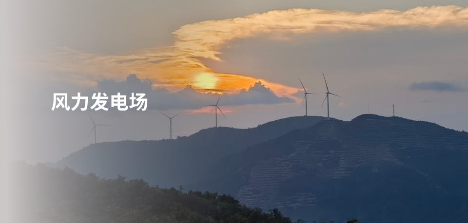 項目案例